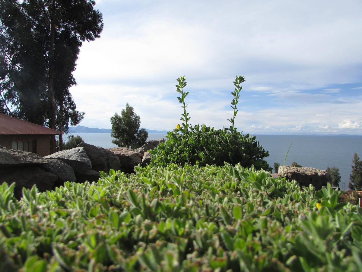 Titicaca Chaska Wasi Amantani Guest House Isla Amantani Екстериор снимка